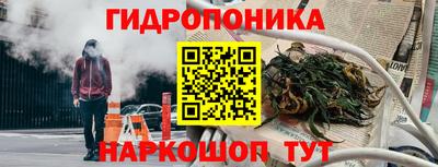 соль ск Кандалакша