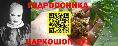 каннабис Камышлов