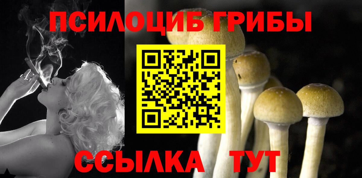 Галлюциногенные грибы ЛСД Воскресенск